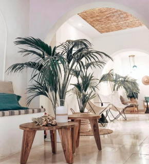 Casa du Soleil Hostal Boutique